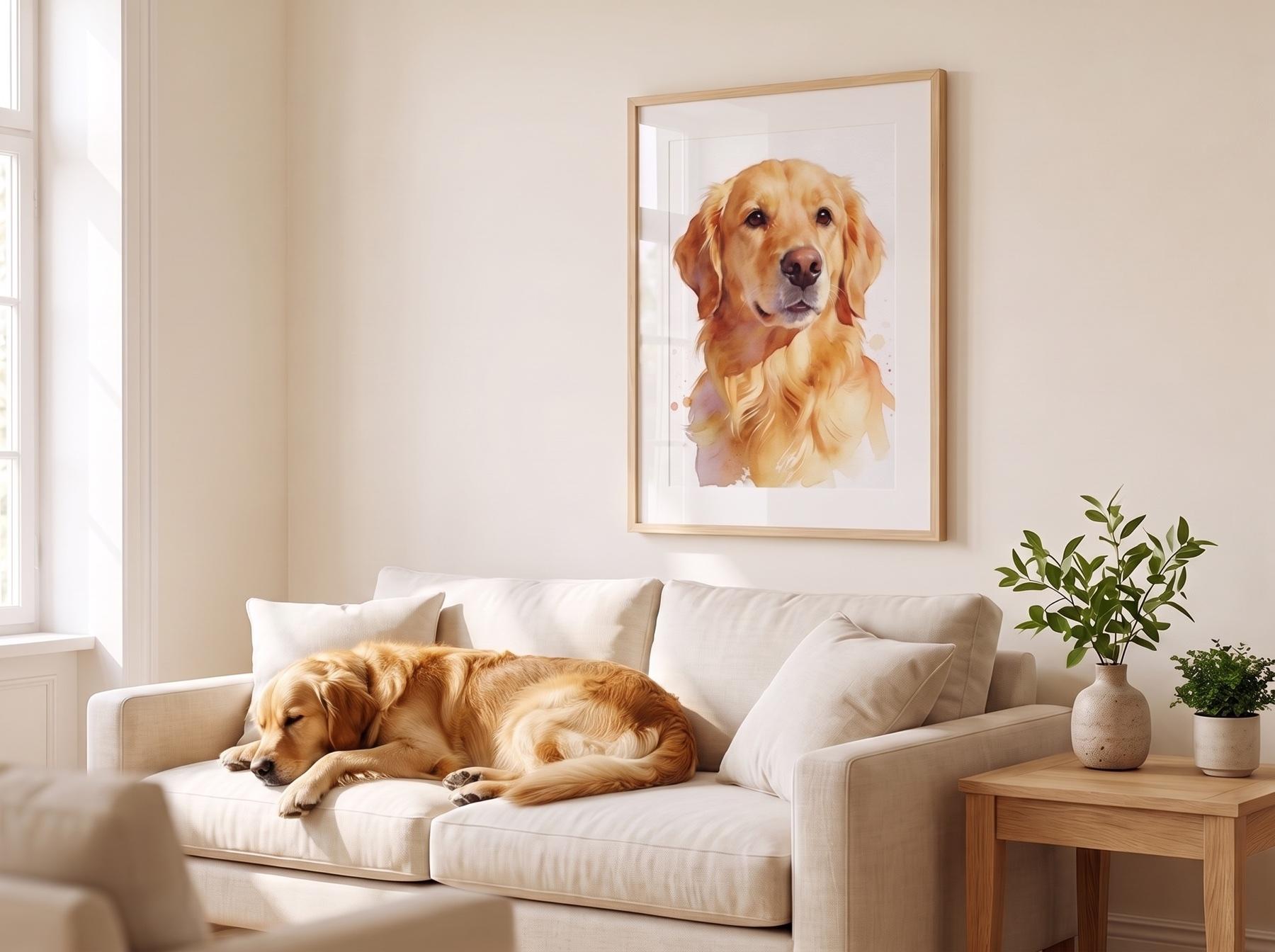 Un golden retriever endormi sur un canapé, le menton sur la patte, sous son portrait à l'aquarelle encadré au mur